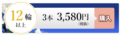 ユリ3本 3,580円（税込）