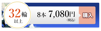 ユリ8本 7,080円（税込）