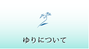 百合ユリについて